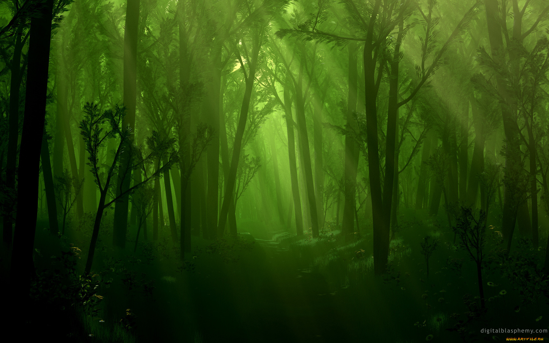 3, , nature, landscape, 